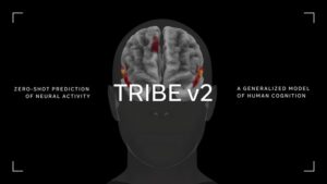 TRIBE v2 de Meta - Modelo de IA que predice la actividad cerebral humana ante estímulos visuales y auditivos