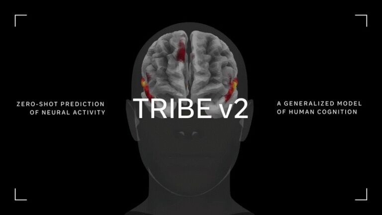 TRIBE v2 de Meta - Modelo de IA que predice la actividad cerebral humana ante estímulos visuales y auditivos